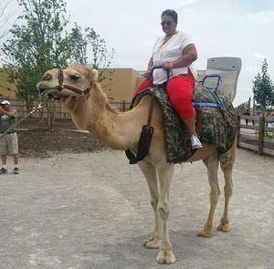 Meet your Posher, Joyce